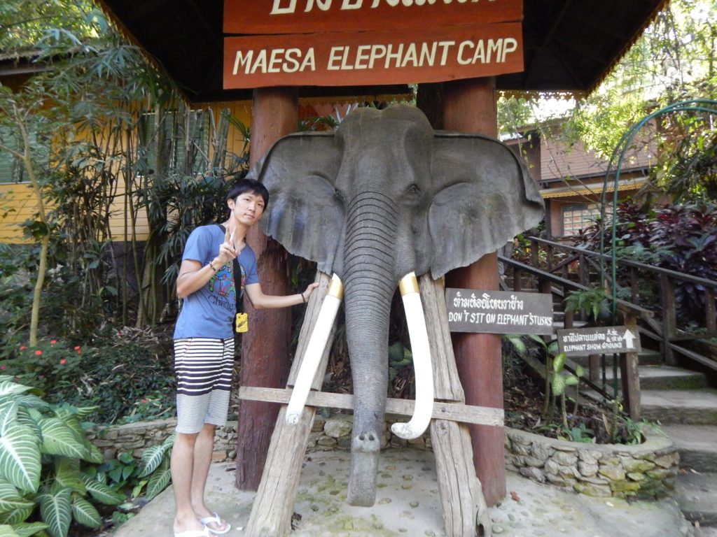 チェンマイ郊外で象に会える場所！世界一周旅行～タイ編～